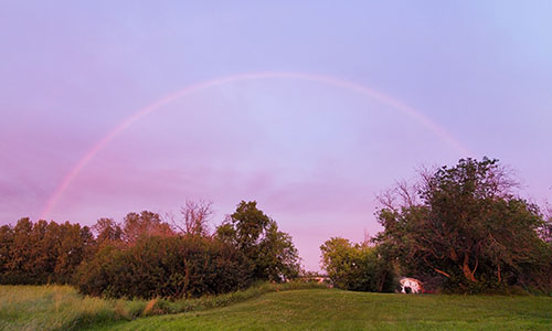 Pink Sky